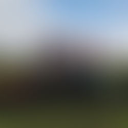 Children and Gardening