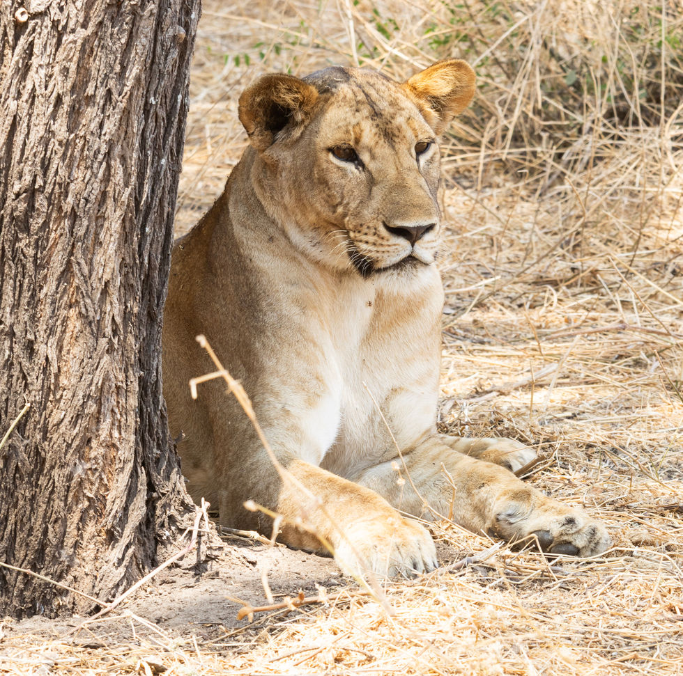 41-3Q1A0893 - Kopie.jpg