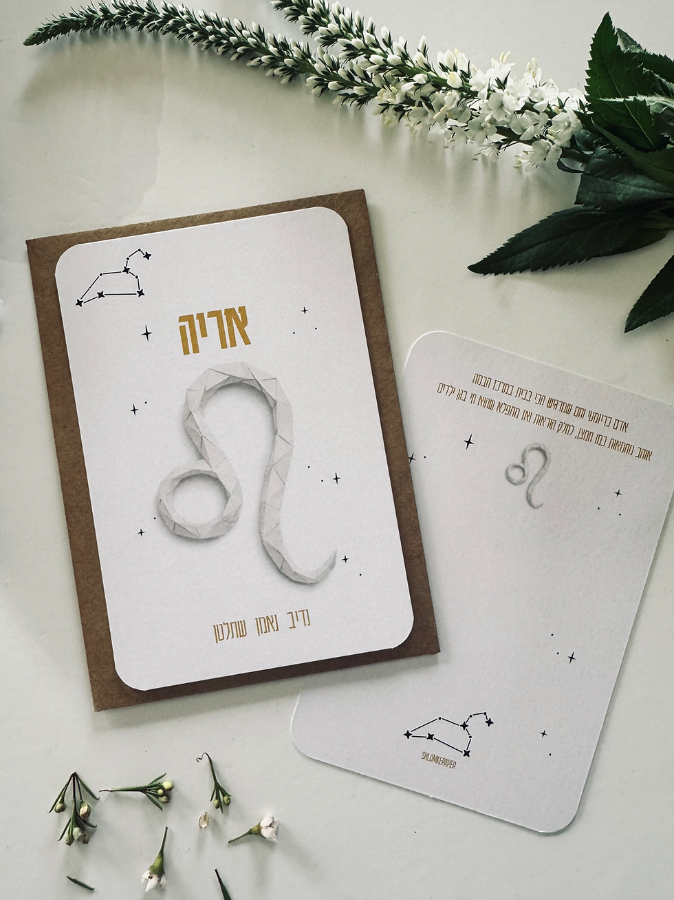 תמונה ממוזערת: גלויית מזל אריה