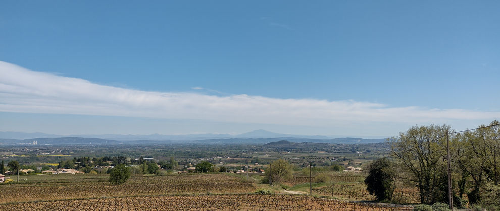 L'hirondelle du Periret vue sur les vignes