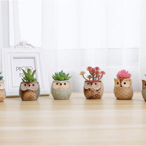 Mini Ceramic Planter Pots, Set of 6 Owl Design £19.99