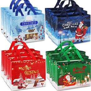 12 Pack Christmas Bags £7.64