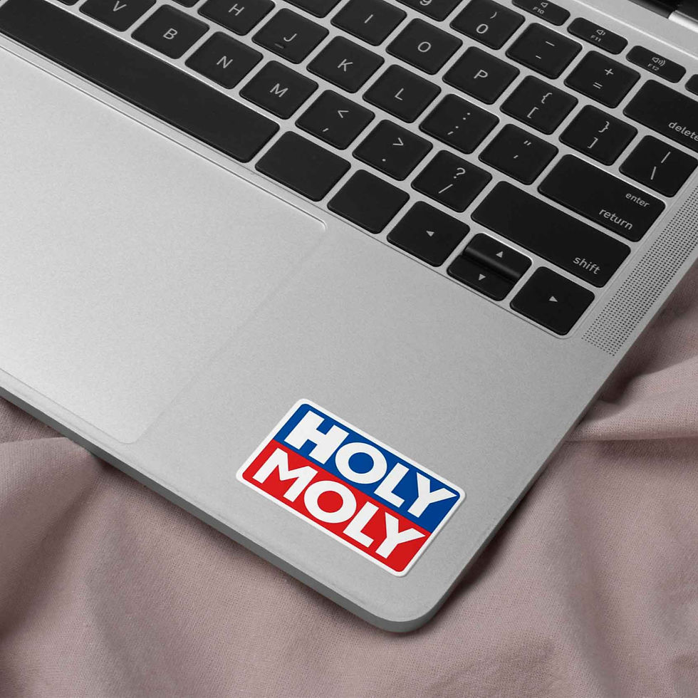 Thumbnail: Holy Moly sticker with bold red and blue typography design