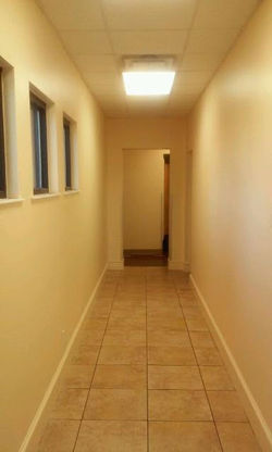 bark ave dog kennel hallway 2.jpg