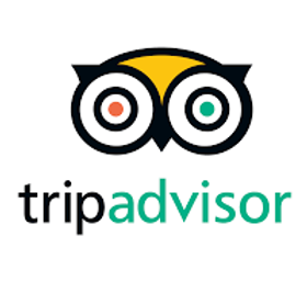 trip logo.png