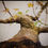 Thumbnail: Palmate Maple "Arakawa" shohin