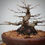 Miniatura: Arce Palmado "Yamamomiji" Shohin