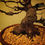 Miniatura: Acero Tridente "Buergerianum" shohin