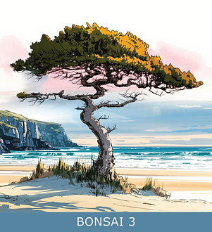 BONSAI 3.png