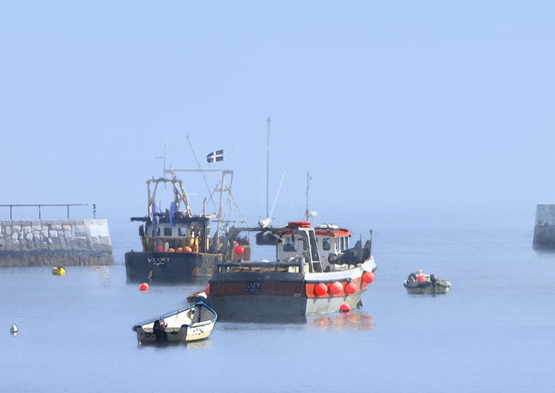 LE-MEVF1-7,5-L-Mevagissey-fishing-boat-fleet.png