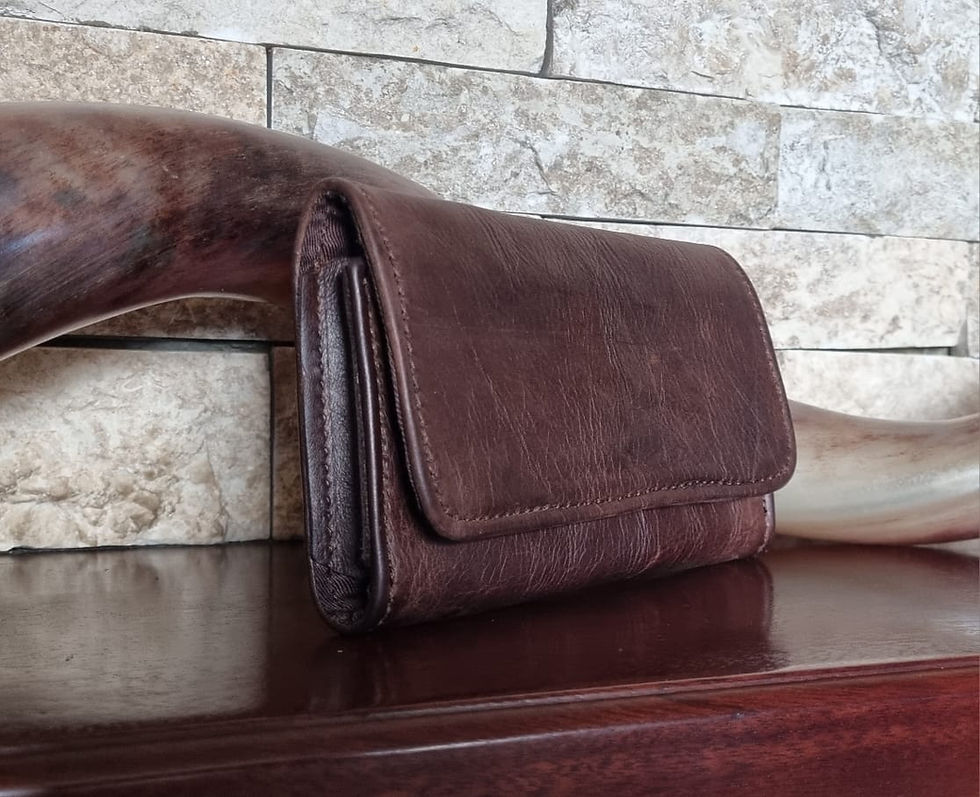 Thumbnail: Cellphone Belt Pouch