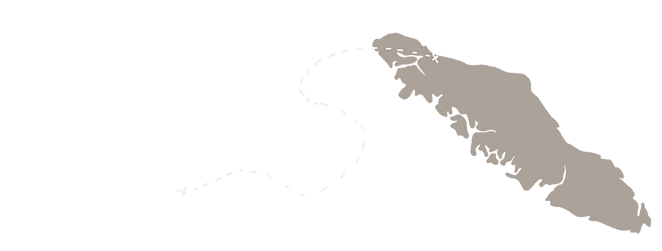 Untitled design (1).png