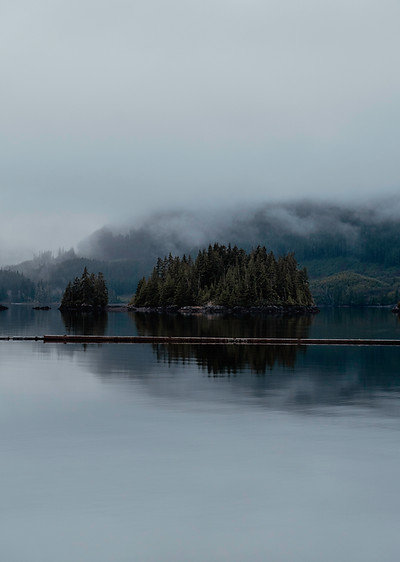 Port Alice_ Margaret Media-5.jpg