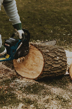 pexels-matreding-6835301.jpg