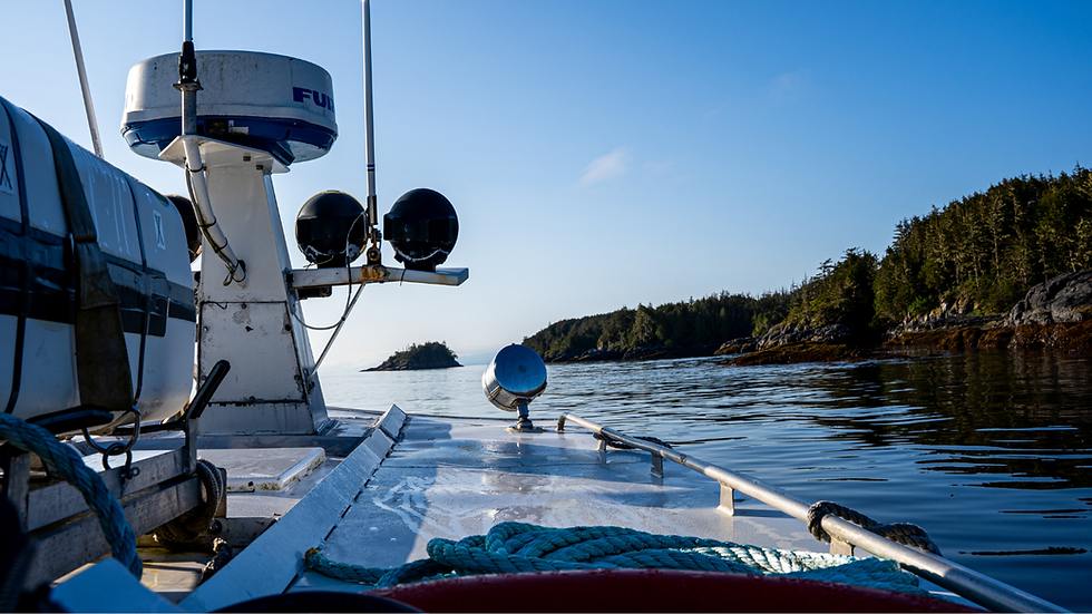 Untitled design (1).png