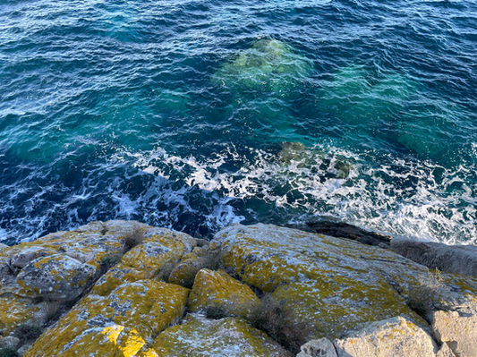 2021-11-02 09.25.46 Kopie.jpg