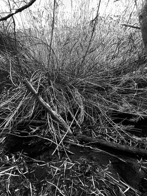 2022-01-11 15.23.47-2.jpg