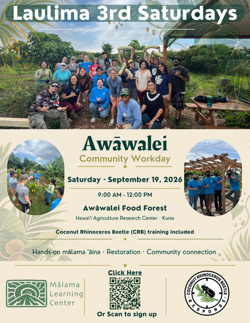 Awāwalei 9.19.26.png