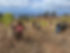 20250920_143146_2030CF.JPEG