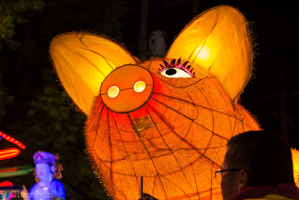 Daegu Sky Wish Lantern Event