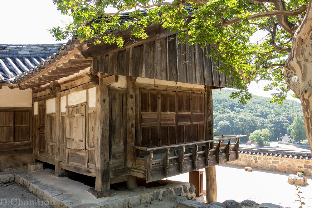 Yangdong village