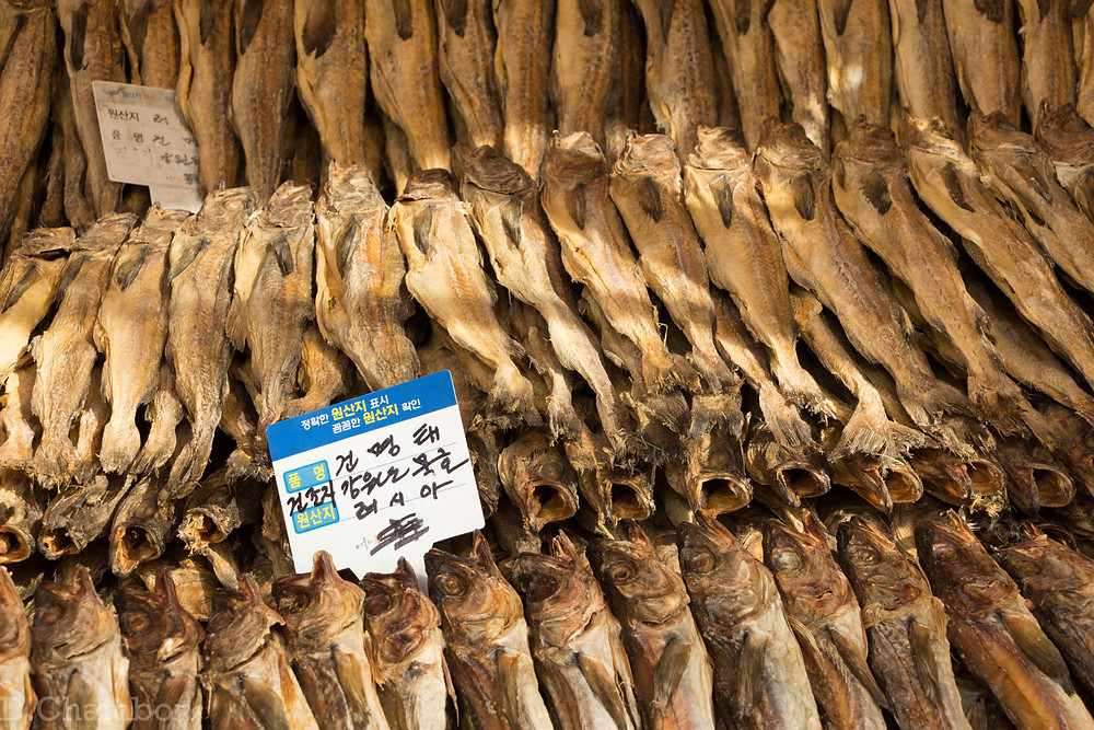 Séoul Chungbu fish market