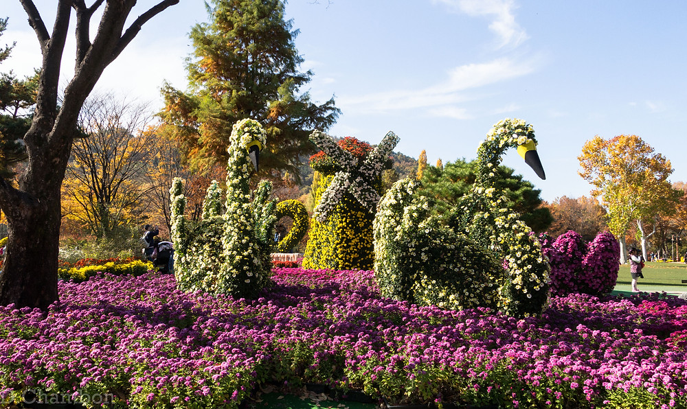 Daegu Arboretum