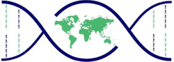 International 100K+ Cohorts Consortium