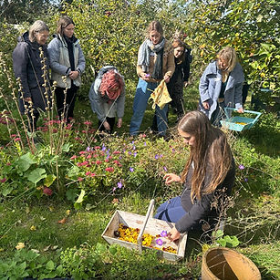 Kindred Cloth Collective Natural Dyeing Workshop_edited.jpg