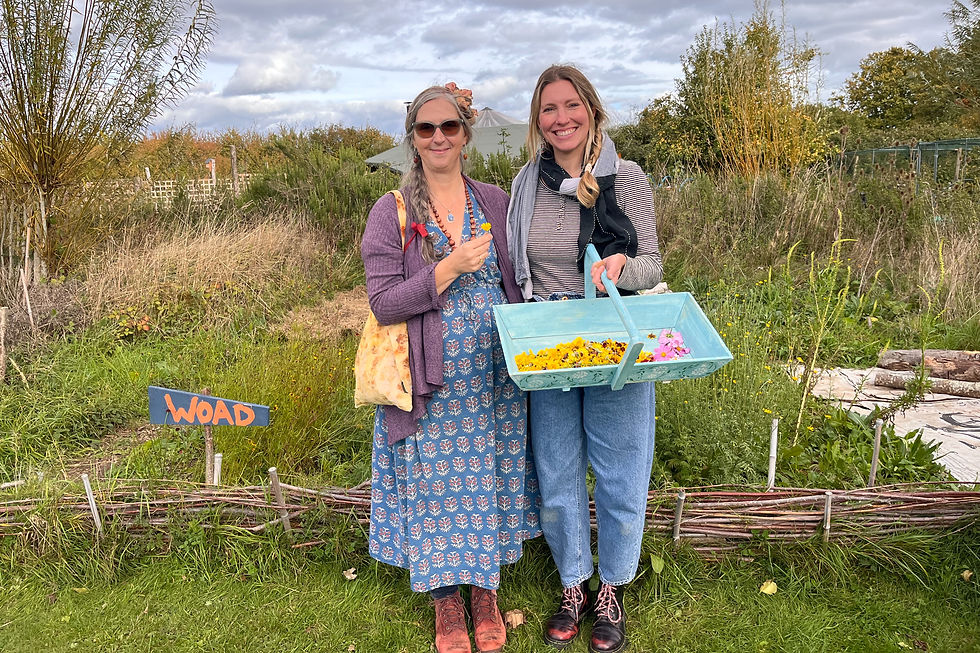 Erin & Ginny hosted the workshop at Rosamund Community Garden, where they both shared their knowledge and skills in sustainable fashion, and regenerative textile s practices in natural dyeing. 