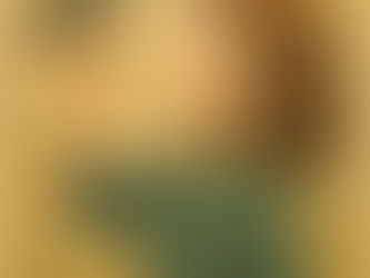 瑪麗亞・蒙特梭利——這位天才的幼兒教育改革家——回到了她的祖國。她親自講述了自己流亡的歲月: