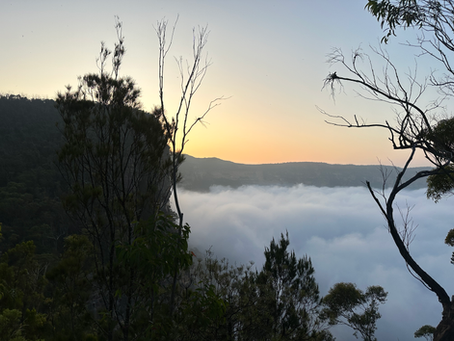 Explore The Grand Canyon with Trident Tours Today