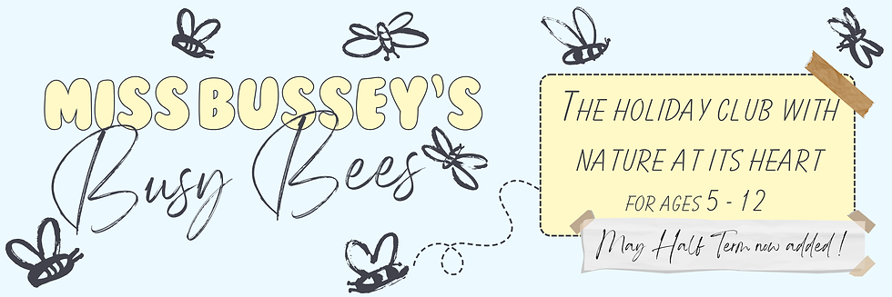 miss bussey web banner (1500 x 500 px)-2.png