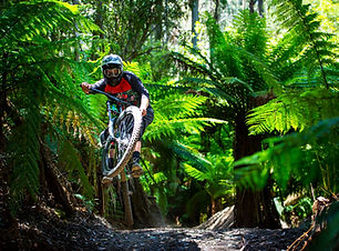 Maydena Bike Park Tasmania.jpg