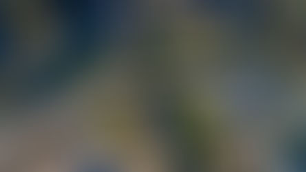 An institute building bridges