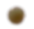 でかシュークリーム
