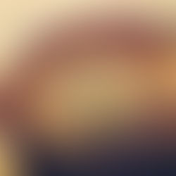 「牡蠣のオイル漬け」