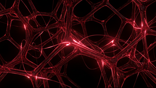 Vanaya Indonesia Announces Strategic Evolution into Two Specialized Brands