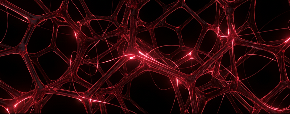 Vanaya Indonesia Announces Strategic Evolution into Two Specialized Brands