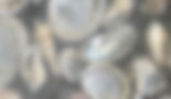 EHS_HOMEPAGE_BACKGROUND (2).jpg