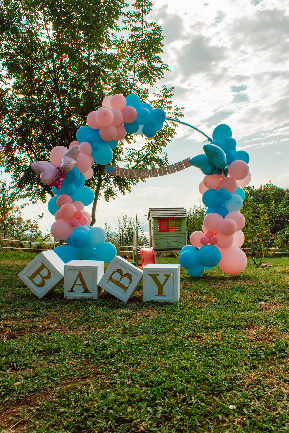 Gender Reveal N&P - Alice Wonderful Events (2)