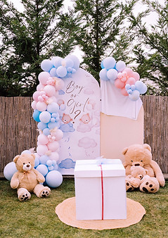 Gender Reveal L&L (10).jpeg