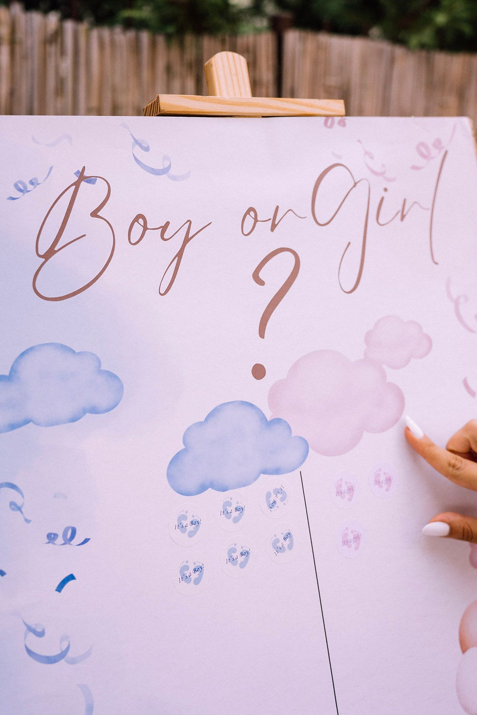 Gender Reveal L&L (2)