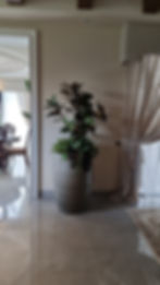 IMG-20220729-WA0222
