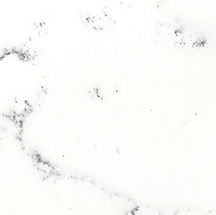 Countertops PentalQuartz 5.jpeg