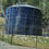 Thumbnail: BLUE HOMESTEAD AWG