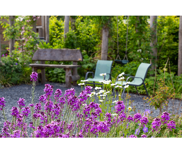 Ontwerp zonder titel (49).png