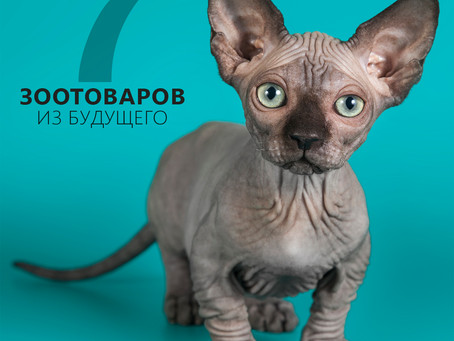 Крутые будущие гаджеты для питомцев!