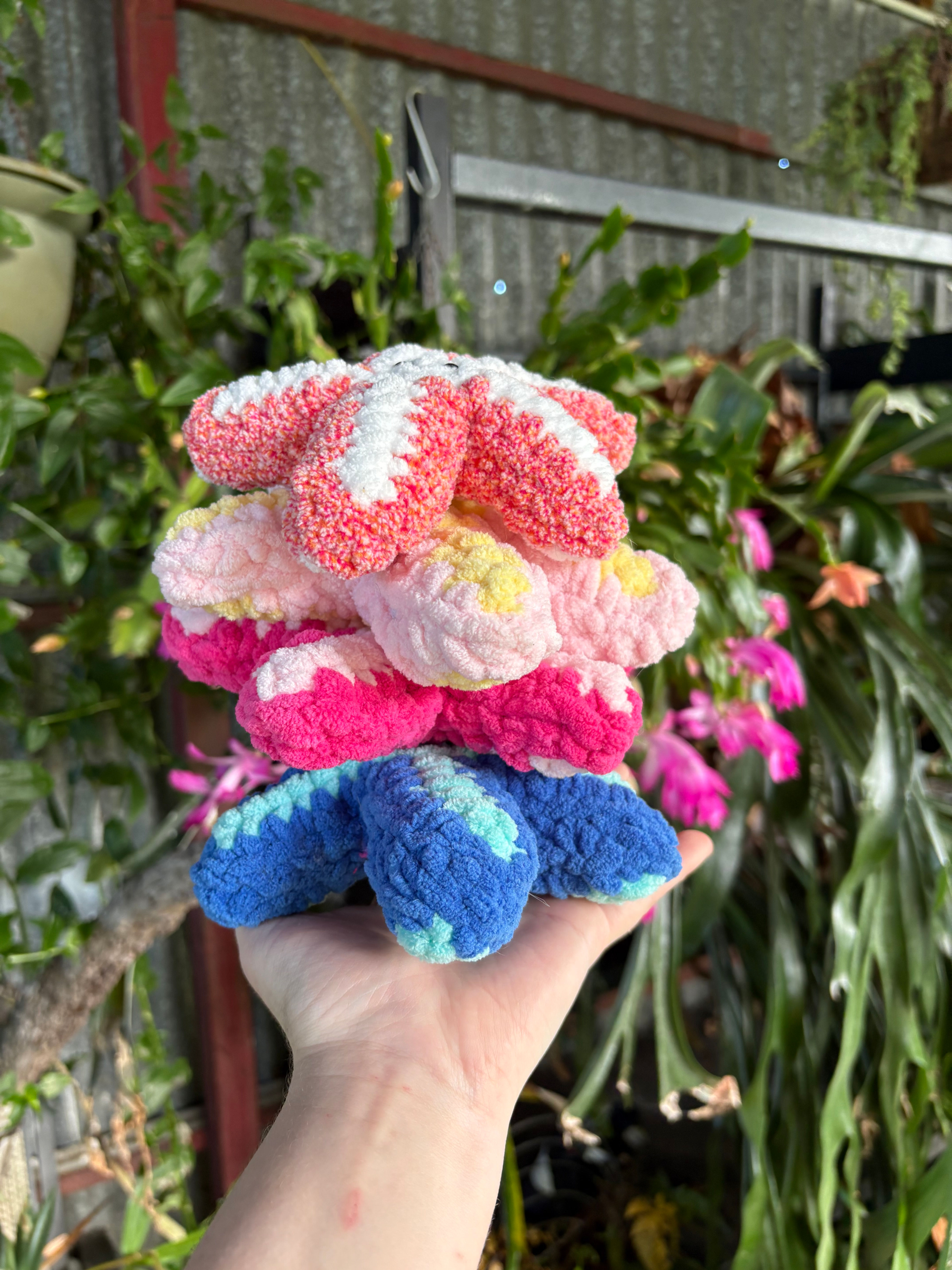 Starfish Squishy