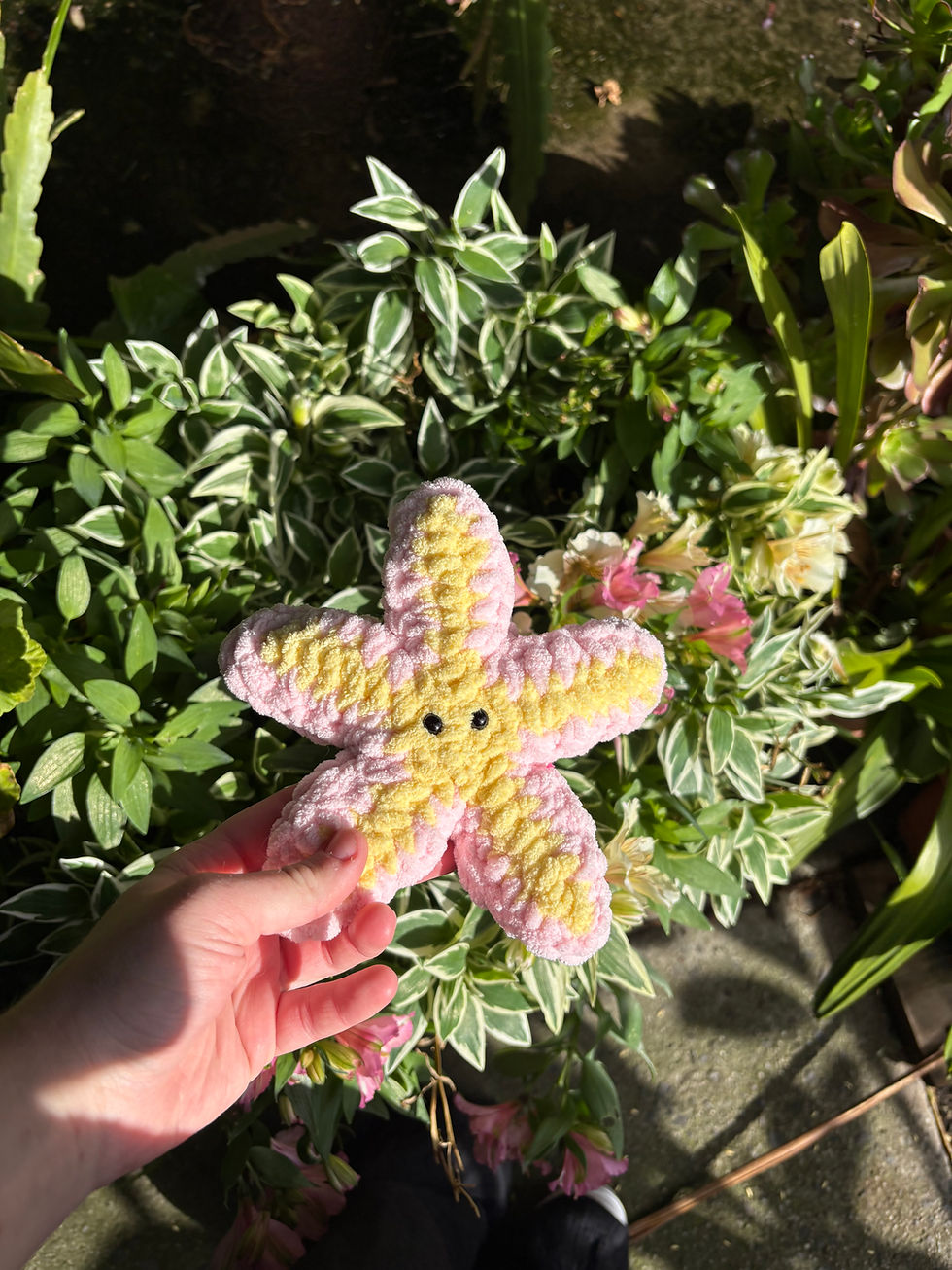 Thumbnail: Starfish Squishy